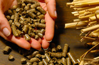 free Buckminster biomass boiler quotes