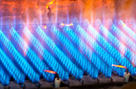 Buckminster gas fired boilers