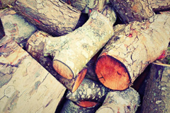 Buckminster wood burning boiler costs